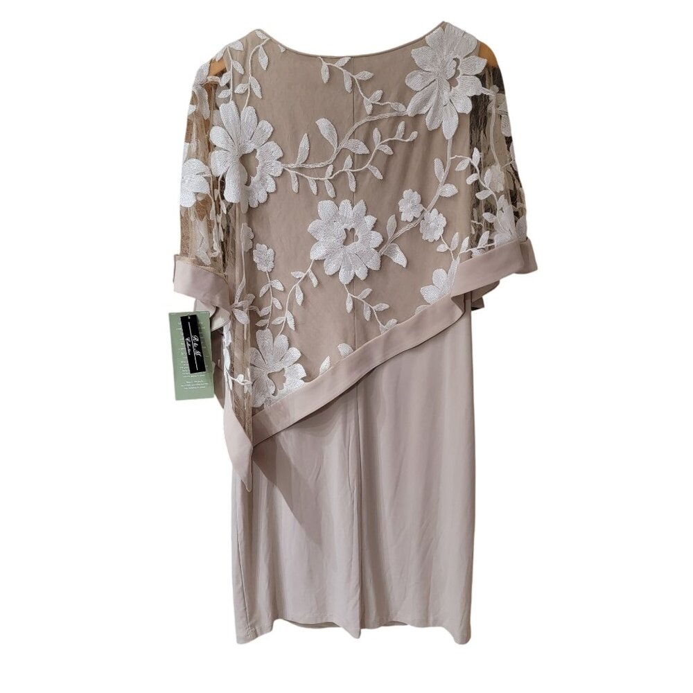 R & M Collection Women’s Champagne Floral Embroidered Dress NWT Size 14 - Picture 2 of 6
